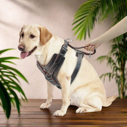 🐕 Strong Leather Dog Harness: Perfect for Large Dogs 🐕